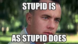 STUPID IS AS STUPID DOES. 