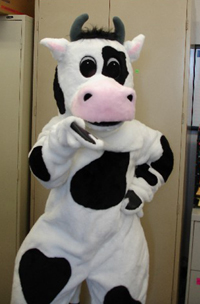Moooove Over Justice. Here Comes Ffederal Judges Trading Animal Porn Online!
